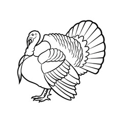 Minimal turkey outline silhouette with detailed feathers centered on white background representing bird and wildlife design
