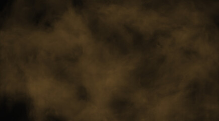 Dark forest canopy above golden grass field at dusk