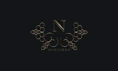Vector elegant element for design template, place for text with initial letter N. Lace decor for greeting card, invitation, label, business sign.