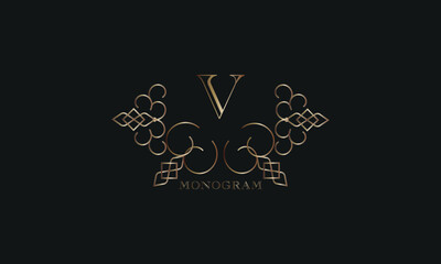 Vector elegant element for design template, place for text with initial letter V. Lace decor for greeting card, invitation, label, business sign.