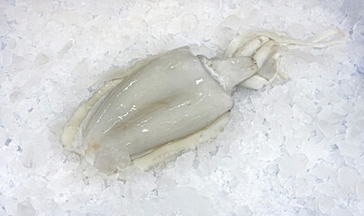 Fresh cuttlefish lying on ice at market