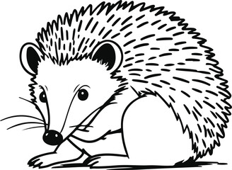 Hedgehog curled up, minimal contour lines, hand-drawn aesthetic 2