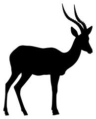 antelope on a transparent background, antelope, black, picture, silhouette, stand 