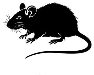 rat on a transparent background, black, logo, mouse, rat, silhouette 