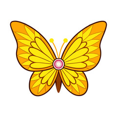 butterfly on a white background