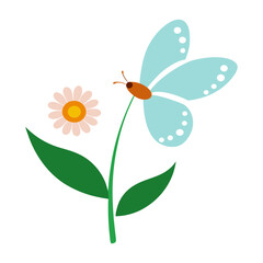 butterfly and flower