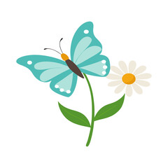 butterfly on a flower