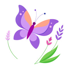 butterfly vector illustration
