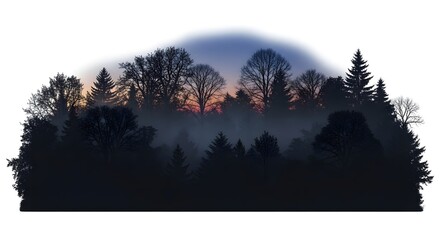 Dark silhouette of a dense forest with bare trees at dusk, shrouded in mist with a colorful twilight sky visible.