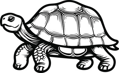 Minimal tortoise outline with abstract curved shell pattern, thick black contour 3