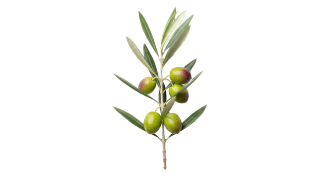 Mountain Landscape Reflected in Peaceful Lake with Golden Sunset Light