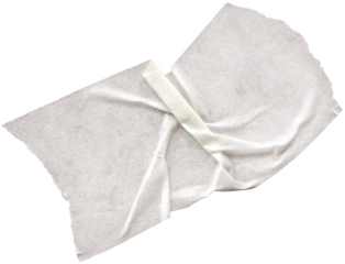 Torn paper edges on transparent background. Torn sheets of paper. Torn paper strips set. Sticky notes, shreds of notebook pages. Vector illustration realistic torn paper edges