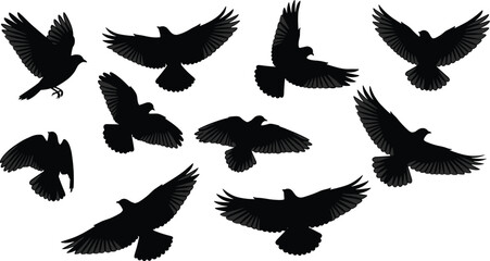 Flying bird silhouette set, black bird vector, wing motion icons, flight posture design, nature illustration, avian shape collection