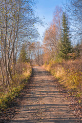 Dalavegen country road of Toten, Norway, in October.