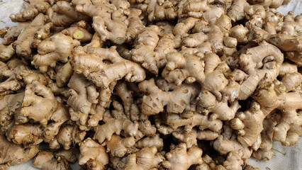 Large heap of fresh ginger roots displayed on ground at traditional vegetable market showing texture and natural freshness