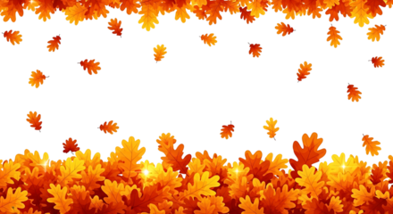 Falling autumn oak leaves border with a transparent background