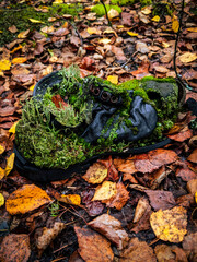 moss, grass, forest, shoes