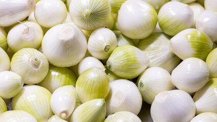 Cebollas caderona o redonda pelada, lista para ser vendida en un mercado.