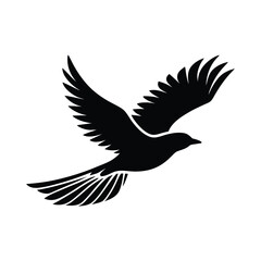 Obraz premium Flying bird silhouette with wide wings spread.