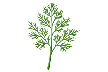Naklejka premium Dill herb sprig green plant transparent background