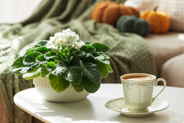 Autumn Home Decor with Coffee Cup, Green Blanket, and Decorative Pumpkins