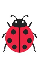 Obraz premium Red ladybug illustration