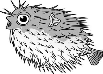 puffer fish vector illustration isolated on white background