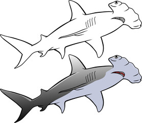 Hammerhead Shark line vector illustration isolated on white background
