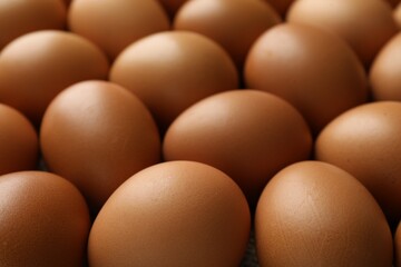 Many raw chicken eggs on table, closeup