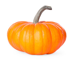 One whole ripe pumpkin isolated on white