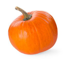 One whole ripe pumpkin isolated on white