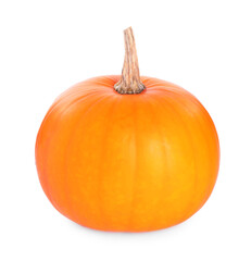 One whole ripe pumpkin isolated on white