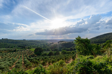Countryside near Trequanda, Siena Province, Tuscany, Italy
