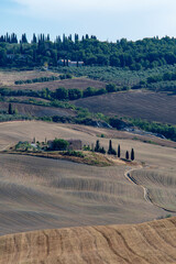 Farmland, San Quirico d'Orcia, , Siena Province, Tuscany, Italy