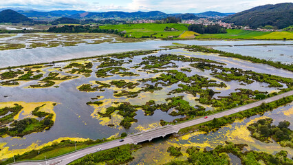 Aerial View of Wetlands and Farmland with Road and Bridge, Spain