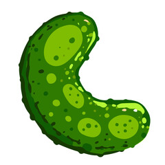Vector illustration of a green cucumber with texture details. Hand drawn fresh vegetable isolated on white background.