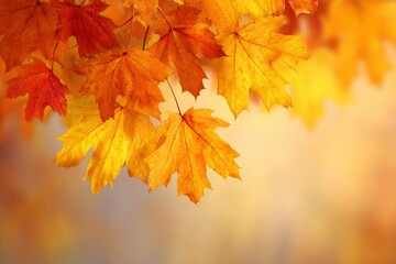 The enchanting palette of autumn in full display. Strong contrast. Vibrant autumn leaves and pumpkins enliven the halloween spirit. Visual balance. Minimal design.