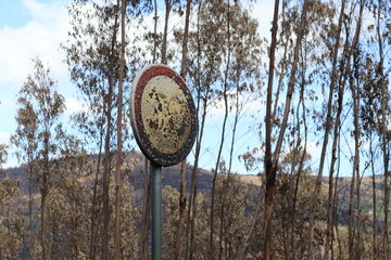 Destruido pelo incêndio