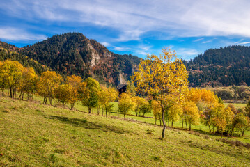 Fototapeta premium autumn in the mountains