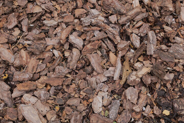 Natural pine bark mulch texture background for gardening landscaping and eco friendly design projects