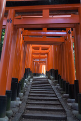 Journey Through the Gates of Fushimi Inari