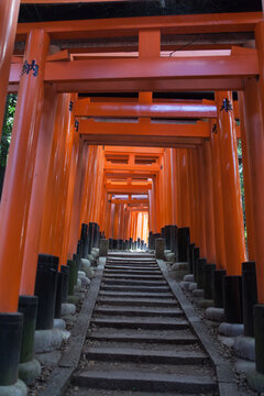Journey Through the Gates of Fushimi Inari