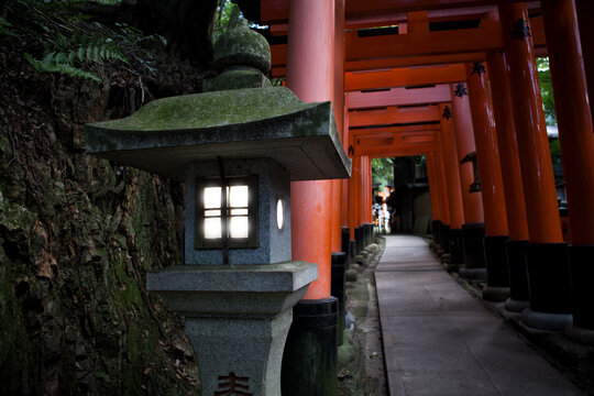 The Thousand Torii Gates of Kyoto