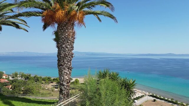 Above Afytos beach, Greece 11