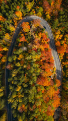 Drone View of Curved Road Through Colorful Autumn Forest