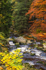 Colorful Autumn Forest River with Flowing Water and Mossy Rocks