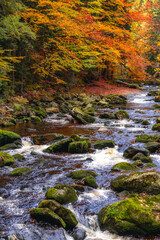 Peaceful autumn landscape with a mountain river flowing among mossy rocks and vibrant forest trees. Warm seasonal colors, fresh water, and natural woodland atmosphere.