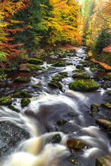Autumn River Flowing Through Forest with Colorful Foliage