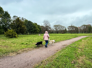 Fototapeta premium Woman is walking the dog in the park on a cloudy day. The woman is wearing a hat and a pink long jacket. An elderly woman walks through the park with two dogs. A woman walking the dog in the park. 