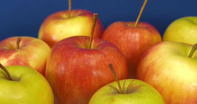 Beautiful ripe juicy red and yellow apples